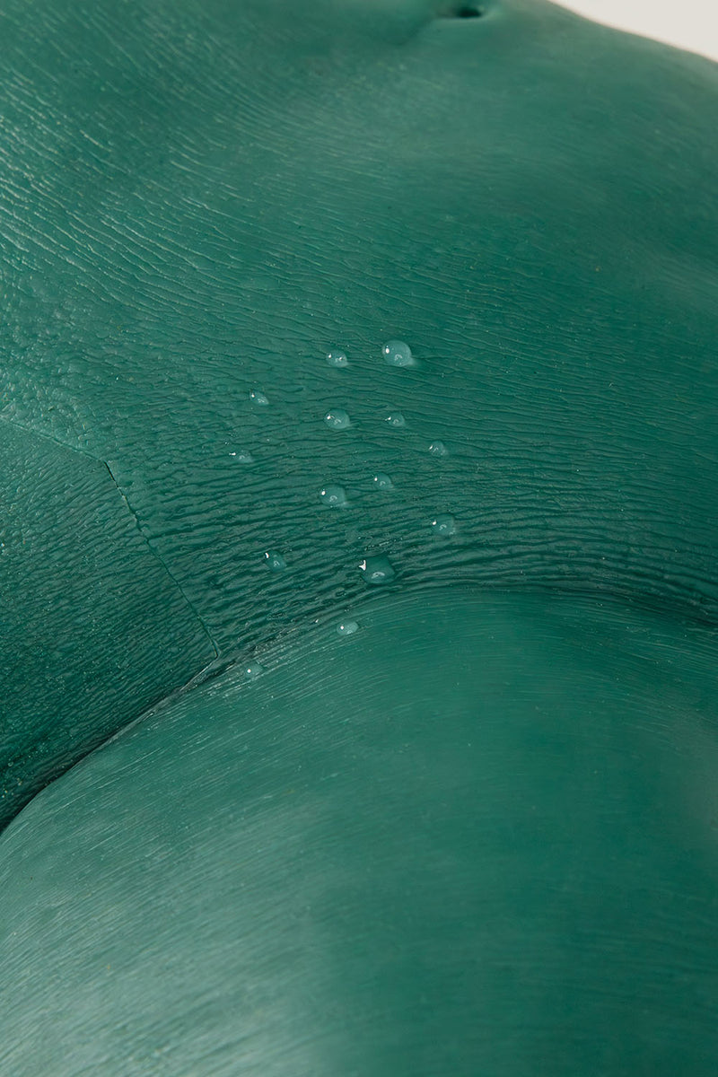 Close-up of Sayge's surface skin texture with water droplets.