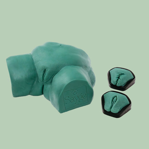 The Sayge Brazilian bundle including the model and three distinct vulva keys on a light green background