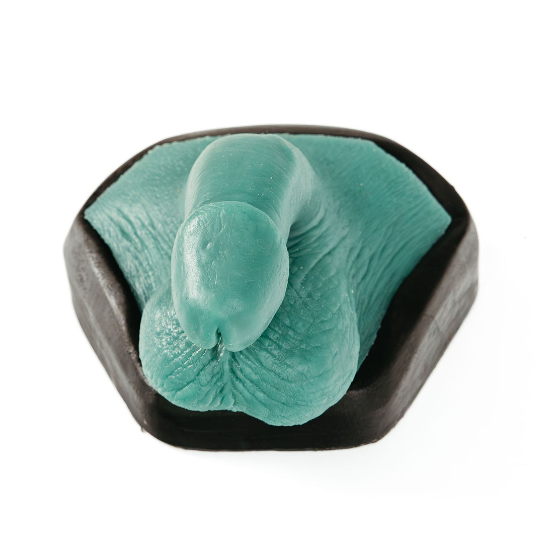 Sayge's penis waxing anatomy key in its protective block