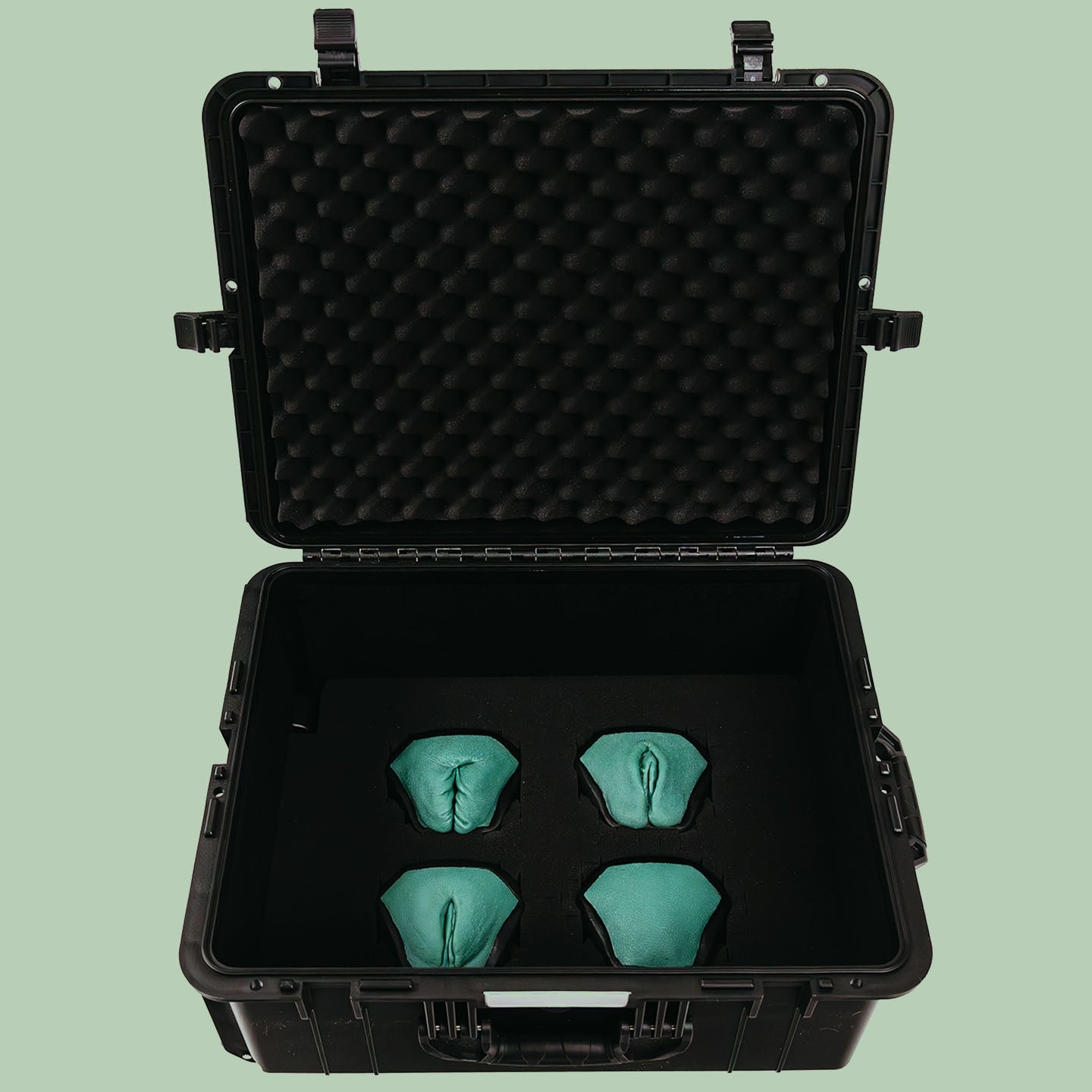 Sayge's black protective travel case with 4 anatomy keys inside